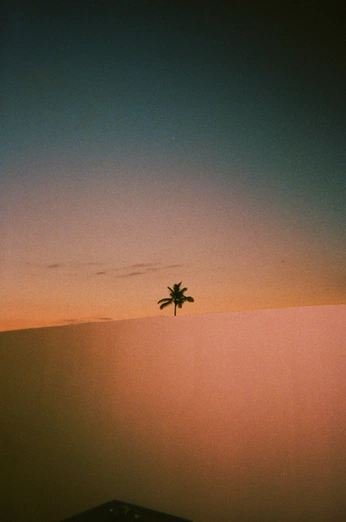 A cover of "fuji film" cluster. The owner is deviaries. The cluster consists of 9 elements.