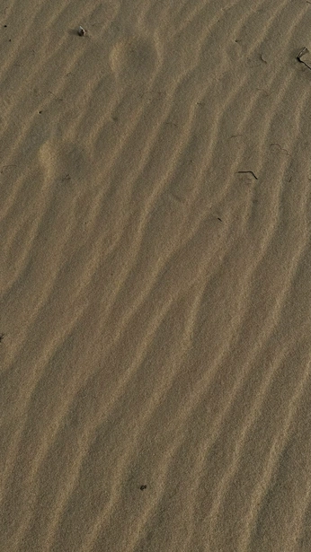 A cover of "Inspo 2025" cluster. The owner is linathestudio. The cluster consists of 41 elements.