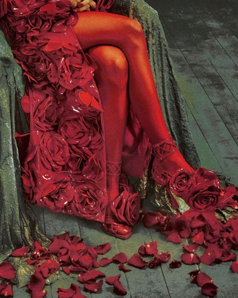 A cover of "red" cluster. The owner is fullyspiced. The cluster consists of 7 elements.