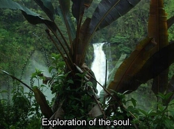 A cover of "Lust for Life" cluster. The owner is nikomagz. The cluster consists of 38 elements.