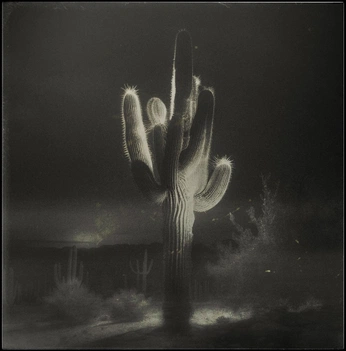 A cover of "Cactus" cluster. The owner is tomturner. The cluster consists of 4 elements.