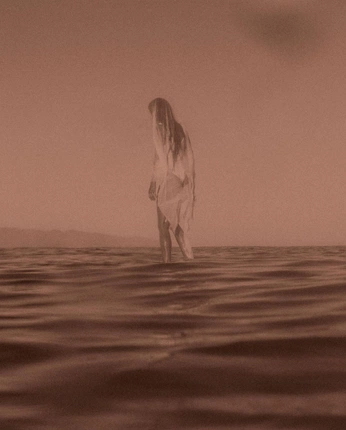 A cover of "capstone" cluster. The owner is meganadc. The cluster consists of 87 elements.