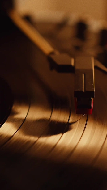 A cover of "♫⋆｡♪ ₊˚♬ ﾟ." cluster. The owner is r4g1ngs0u1. The cluster description is "ℳ𝓊𝓈𝒾𝒸". The cluster consists of 14 elements.