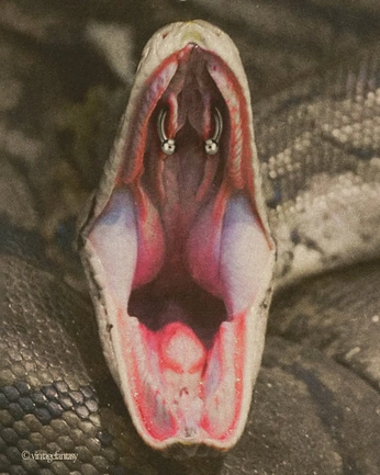 A cover of "vulgar" cluster. The owner is aaddeli. The cluster consists of 9 elements.