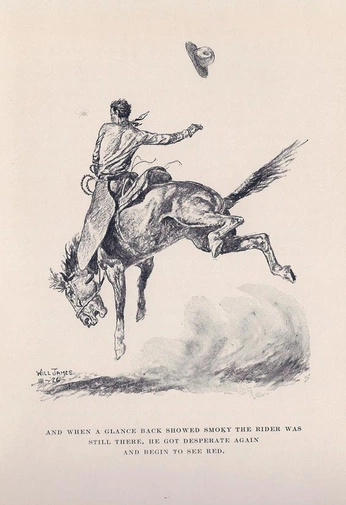 A cover of "cowboy" cluster. The owner is nvstudio. The cluster consists of 3 elements.