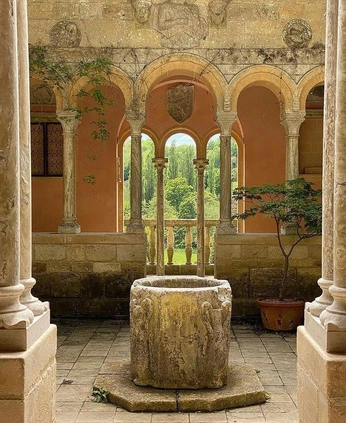 A cover of "Yellow" cluster. The owner is sigmarizzard. The cluster consists of 3 elements.