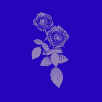 A cover of "Animumu" cluster. The owner is picopicon. The cluster consists of 18 elements.