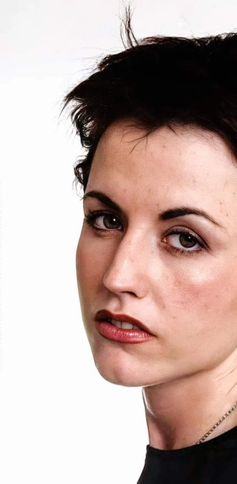 A cover of "THE CRANBERRIES ★" cluster. The owner is solipstic.hum. The cluster consists of 19 elements.