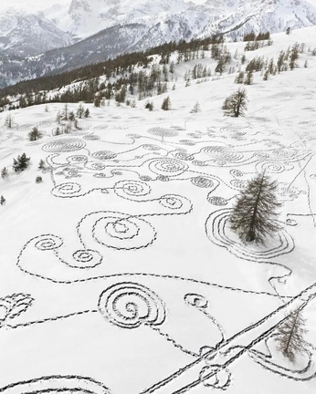 A cover of "ww" cluster. The owner is g444ia. The cluster consists of 1 element.