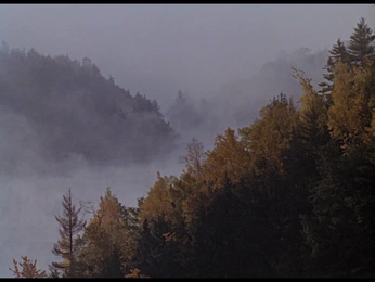 A cover of "district 7" cluster. The owner is hubbafruity. The cluster consists of 5 elements.