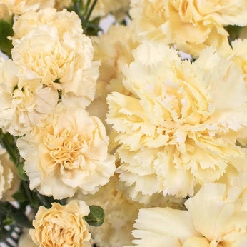 A cover of "Room inspo #008" cluster. The owner is hinstaru. The cluster consists of 7 elements.