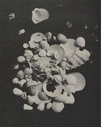 A cover of "Street" cluster. The owner is lanaley. The cluster consists of 8 elements.