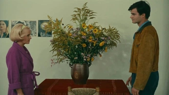 A cover of "Movie Stills" cluster. The owner is ibukunoluwa. The cluster description is "A collection of shots from movies i love". The cluster consists of 8 elements.