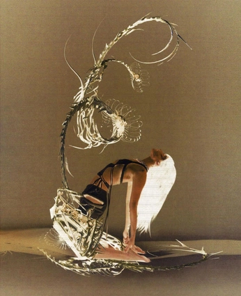 A cover of "🦋" cluster. The owner is nichy. The cluster consists of 1 element.