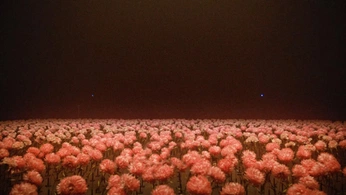 A cover of "MULTIPLY" cluster. The owner is hugogatefait. The cluster consists of 31 elements.