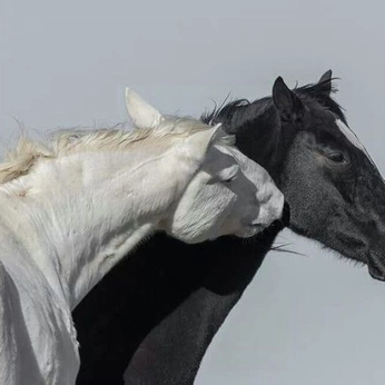 A cover of "Organic" cluster. The owner is fleshspectacle. The cluster consists of 7 elements.