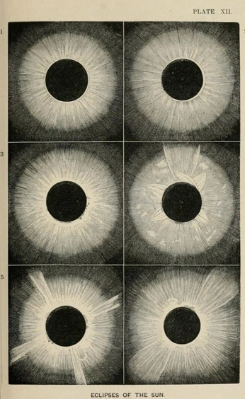A cover of "The Sun by Merchants®" cluster. The owner is merchantslabel. The cluster consists of 26 elements.