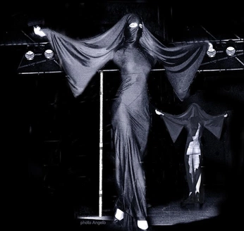 A cover of "Mothman" cluster. The owner is peachmagphoto. The cluster consists of 13 elements.