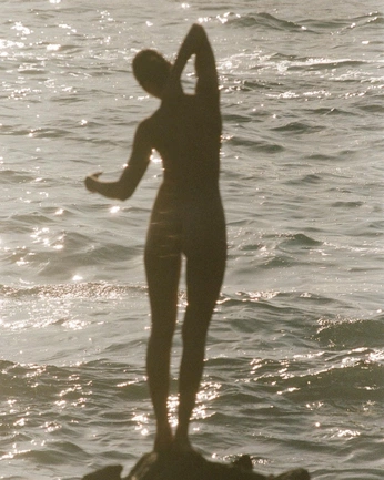 A cover of "Vibe" cluster. The owner is ciaopescao. The cluster consists of 3 elements.