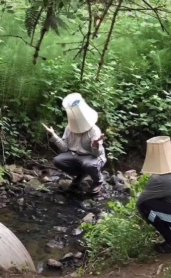 A cover of "chaos core <3" cluster. The owner is spellraiser. The cluster consists of 47 elements.