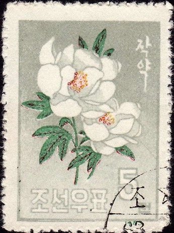 A cover of "Kanji" cluster. The owner is hiiiiiiiiiiiiiip. The cluster consists of 16 elements.