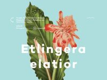 A cover of "poster" cluster. The owner is lizhur.j. The cluster consists of 7 elements.