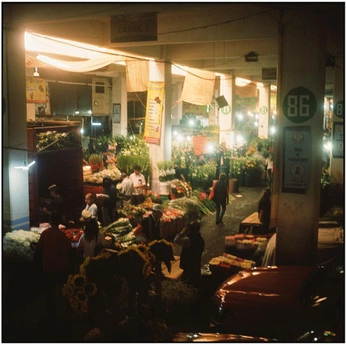 A cover of "Exterior rural" cluster. The owner is tusialanis. The cluster consists of 31 elements.