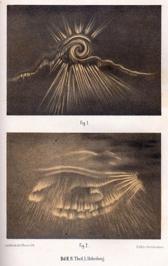 A cover of "logos" cluster. The owner is madisonr. The cluster consists of 1 element.