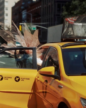 Amina Musaeva avatar