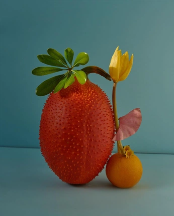 A cover of "shapes" cluster. The owner is tearsinrain. The cluster consists of 46 elements.