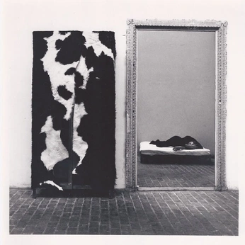 A cover of "interior inspo." cluster. The owner is orchid.j. The cluster consists of 486 elements.