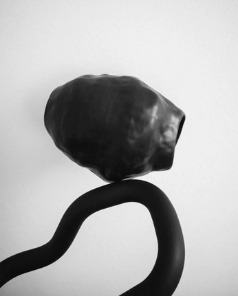 A cover of "拍摄" cluster. The owner is kikinoname. The cluster consists of 2 elements.