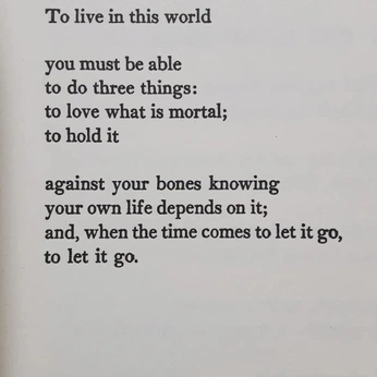 A cover of "Poetry" cluster. The owner is kavrn. The cluster consists of 48 elements.