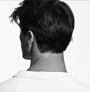 A cover of "neverthless," cluster. The owner is hausxarty. The cluster consists of 13 elements.