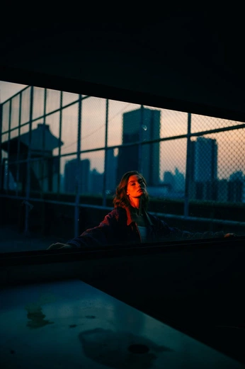 A cover of "SYASHIN" cluster. The owner is lexiqvn. The cluster consists of 541 elements.