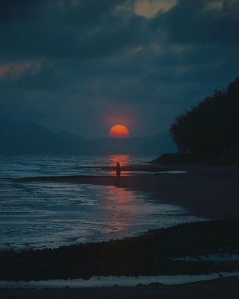 A cover of "nature" cluster. The owner is cakeandcrows. The cluster consists of 40 elements.