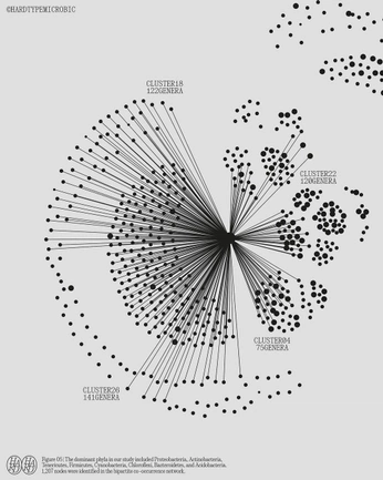 A cover of "Nephesh" cluster. The owner is smithdesign. The cluster consists of 13 elements.