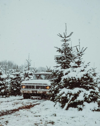 A cover of "Graphics" cluster. The owner is matthewm. The cluster consists of 3 elements.