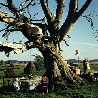 A cover of "Aesthetic 🐞" cluster. The owner is sun.kisse5. The cluster consists of 1403 elements.