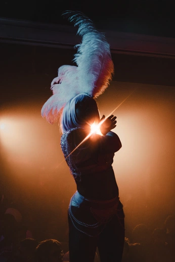 A cover of "burlesque" cluster. The owner is topayz. The cluster consists of 9 elements.