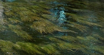 A cover of "Моушн" cluster. The owner is aksee.n. The cluster consists of 8 elements.