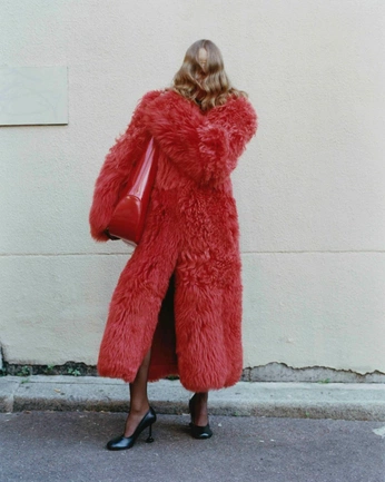 A cover of "Fashion Madness" cluster. The owner is alejandraolvera. The cluster consists of 114 elements.