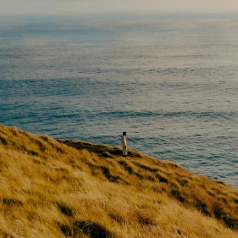 A cover of "MXGPU Take Me Home" cluster. The owner is theanaviotti. The cluster consists of 12 elements.