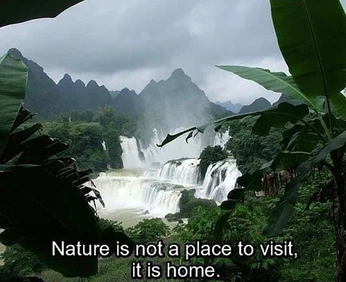 A cover of "Nature" cluster. The owner is ruelcabpo. The cluster consists of 4 elements.