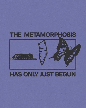 A cover of "Sterosaurus Merch" cluster. The owner is binjalsynbio. The cluster consists of 20 elements.