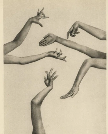 A cover of "divers" cluster. The owner is elizevdbroek. The cluster consists of 1 element.