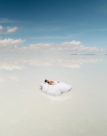 A cover of "LIONARC" cluster. The owner is kamiyabhusain21. The cluster consists of 5 elements.