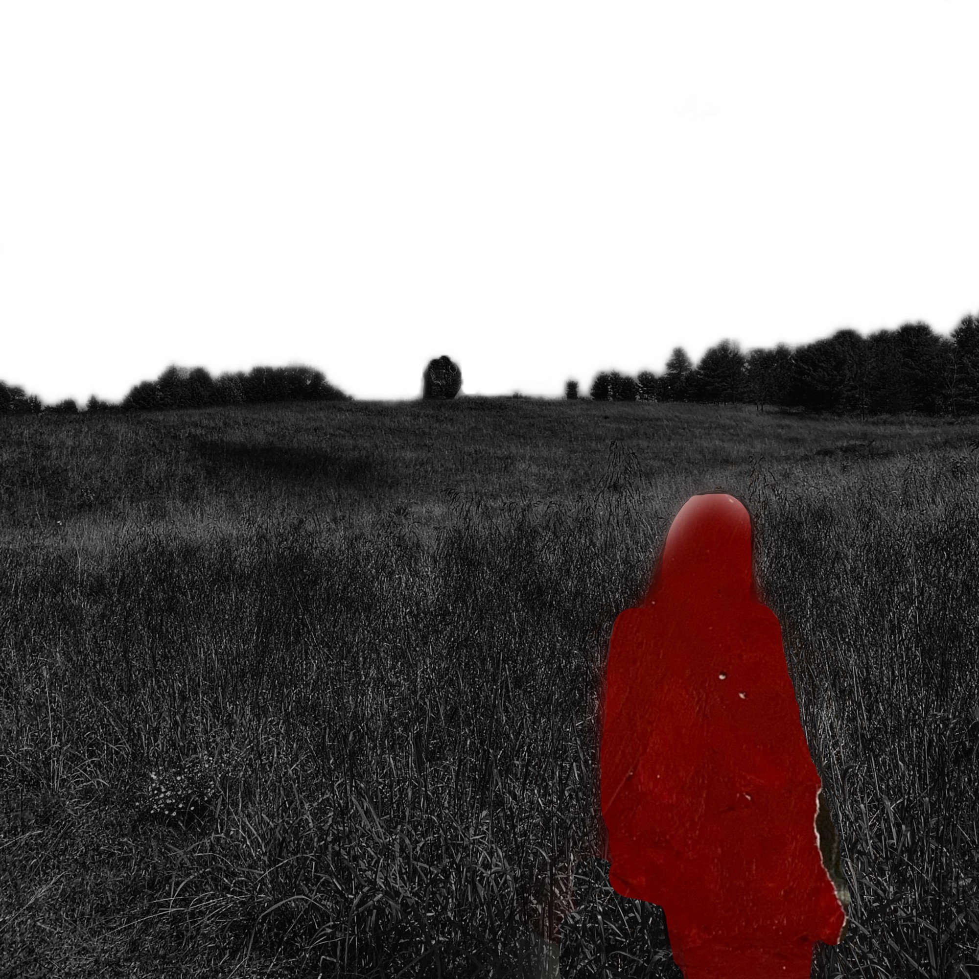 Autobiography of Red