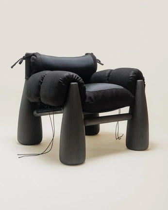 A cover of "Anthropomorphic chairs" cluster. The owner is nicolecardoza. The cluster consists of 12 elements.