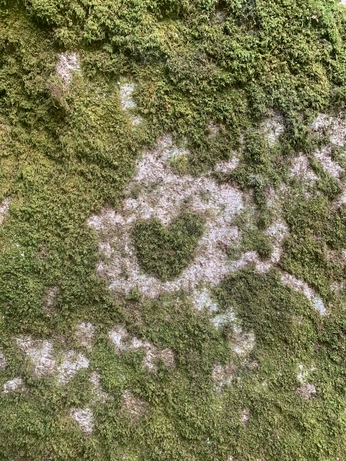 A cover of "<3" cluster. The owner is kayla.gm. The cluster consists of 28 elements.